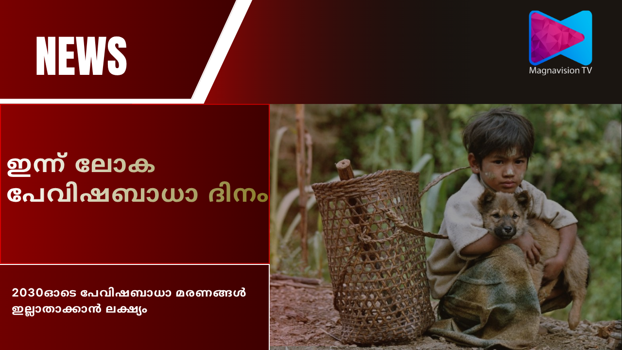 World Rabies Day 2026 Stronger Together campaign