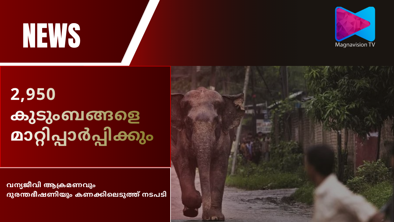 Kerala plans relocation of families from wildlife and disaster zones