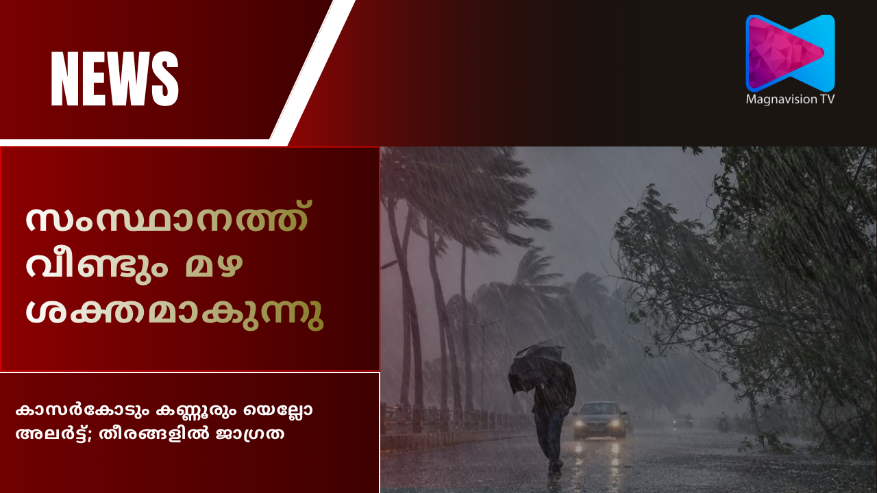 Heavy rain and yellow alert in Kerala